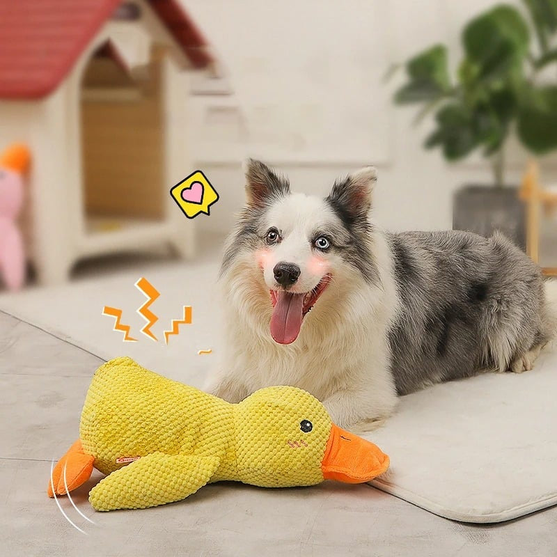 QuackTass - Ank-leksak för hundar