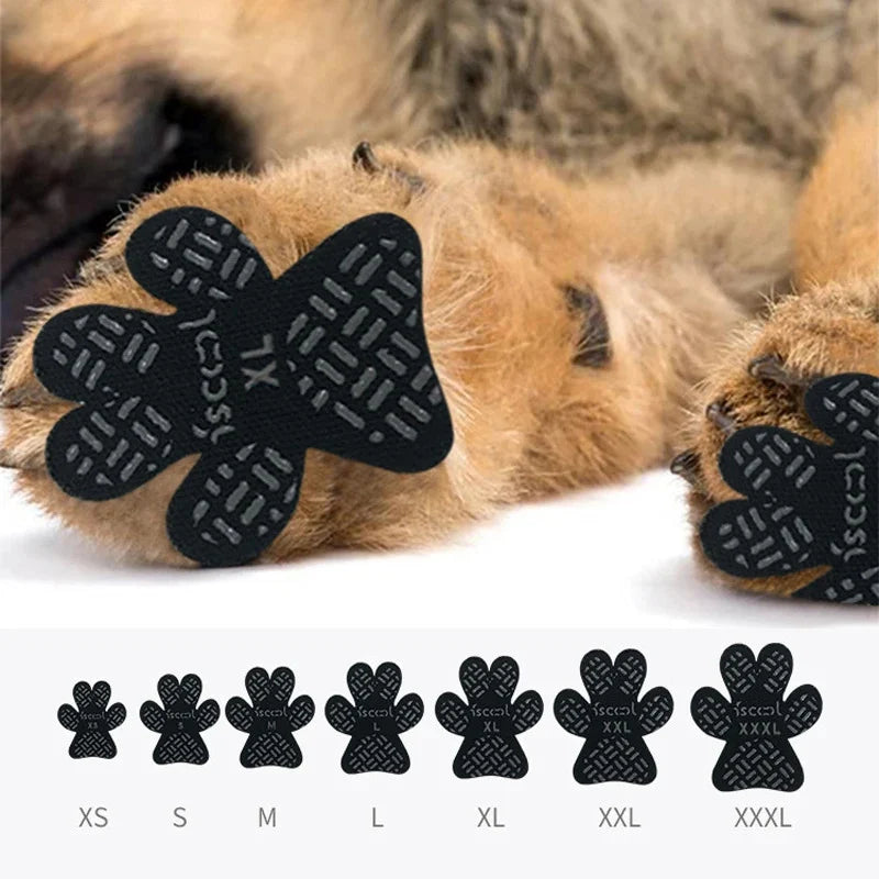PawGuard - Värmeskydd för hundtassar