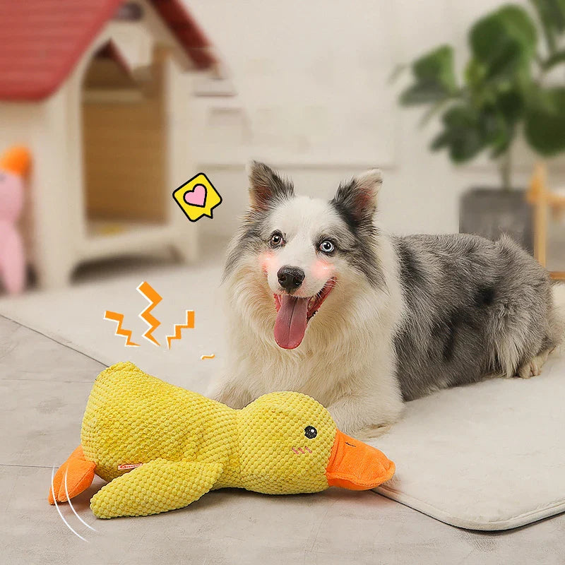 QuackTass - Ank-leksak för hundar