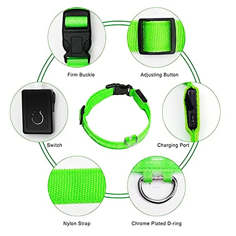 FlashFur - LED-blinkande hundhalsband