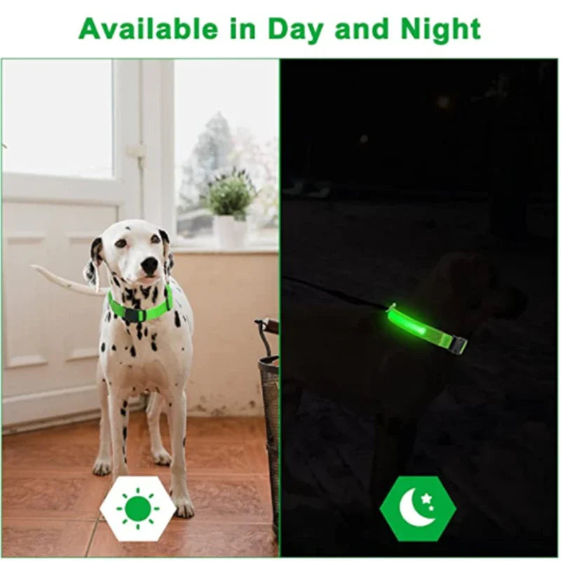 FlashFur - LED-blinkande hundhalsband