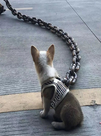PawChain Couture - Överdimensionerat fejkat kedjekoppel för hundar