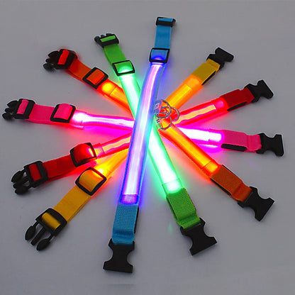 FlashFur - LED-blinkande hundhalsband