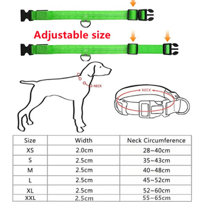 FlashFur - LED-blinkande hundhalsband